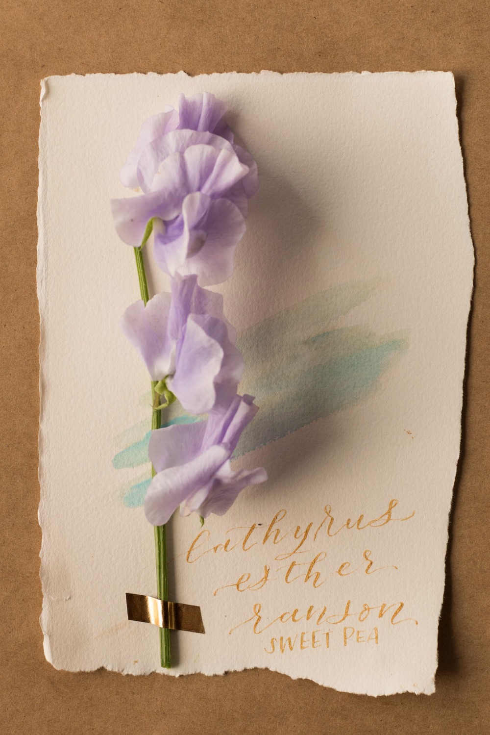 wedding-submission-from-isari-flower