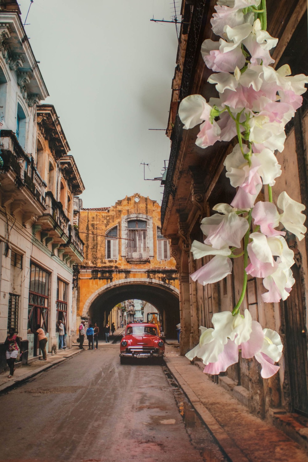 wedding-submission-from-isari-flower