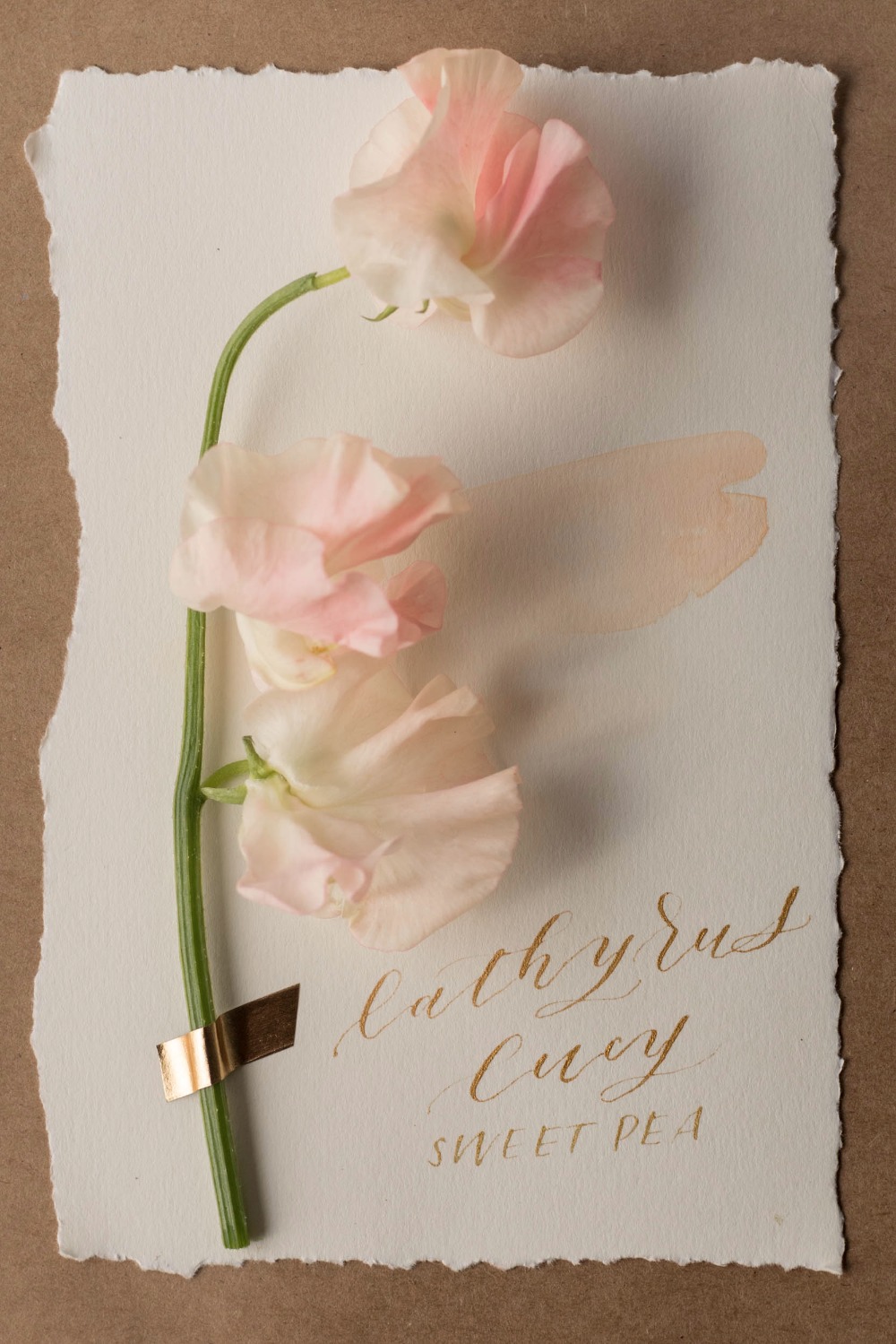 wedding-submission-from-isari-flower