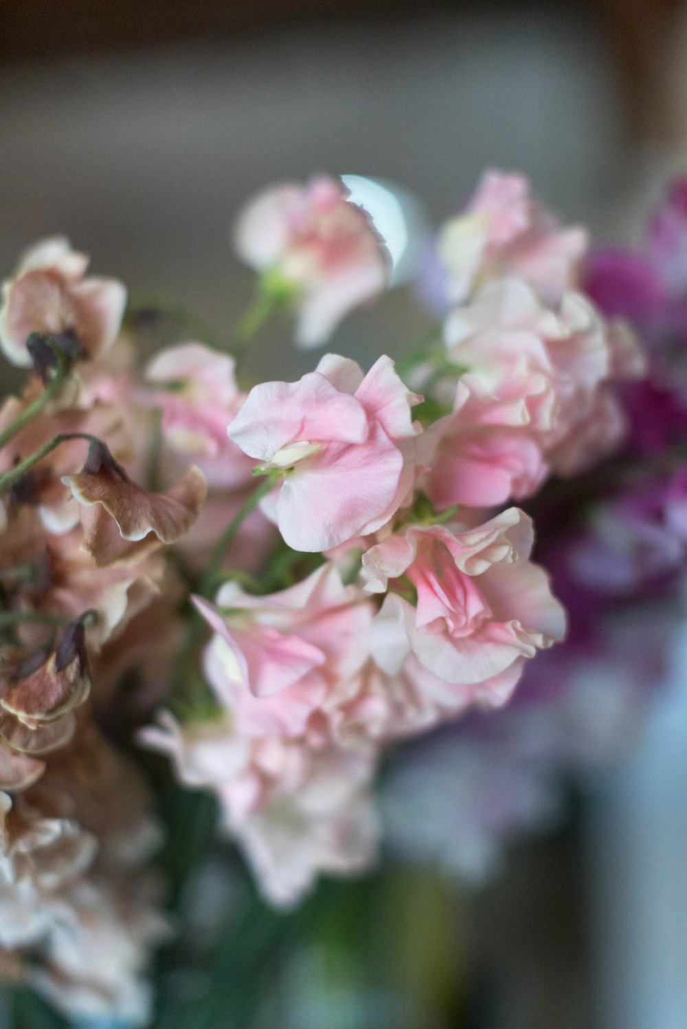 wedding-submission-from-isari-flower
