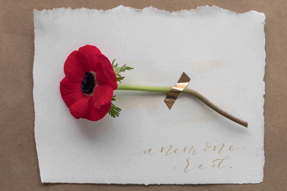wedding-submission-from-isari-flower