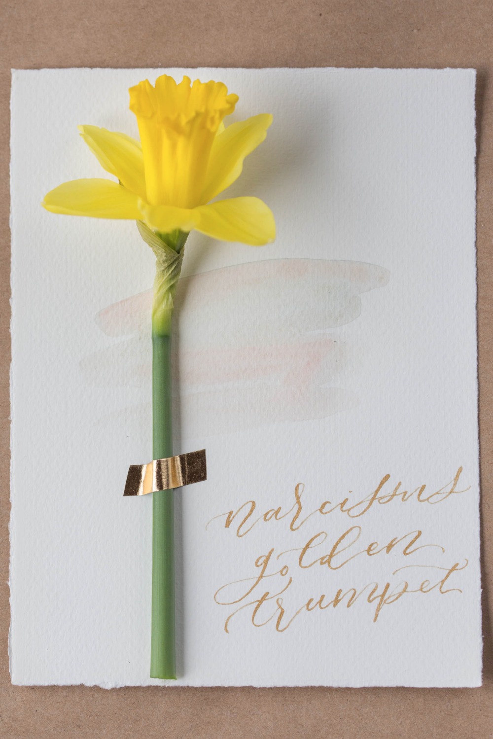 wedding-submission-from-isari-flower