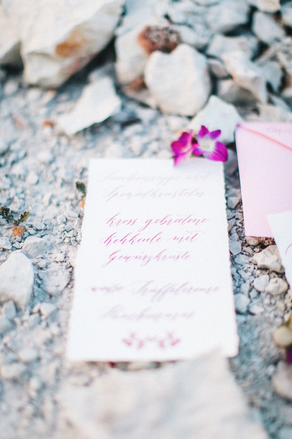 wedding-submission-from-pompom-your