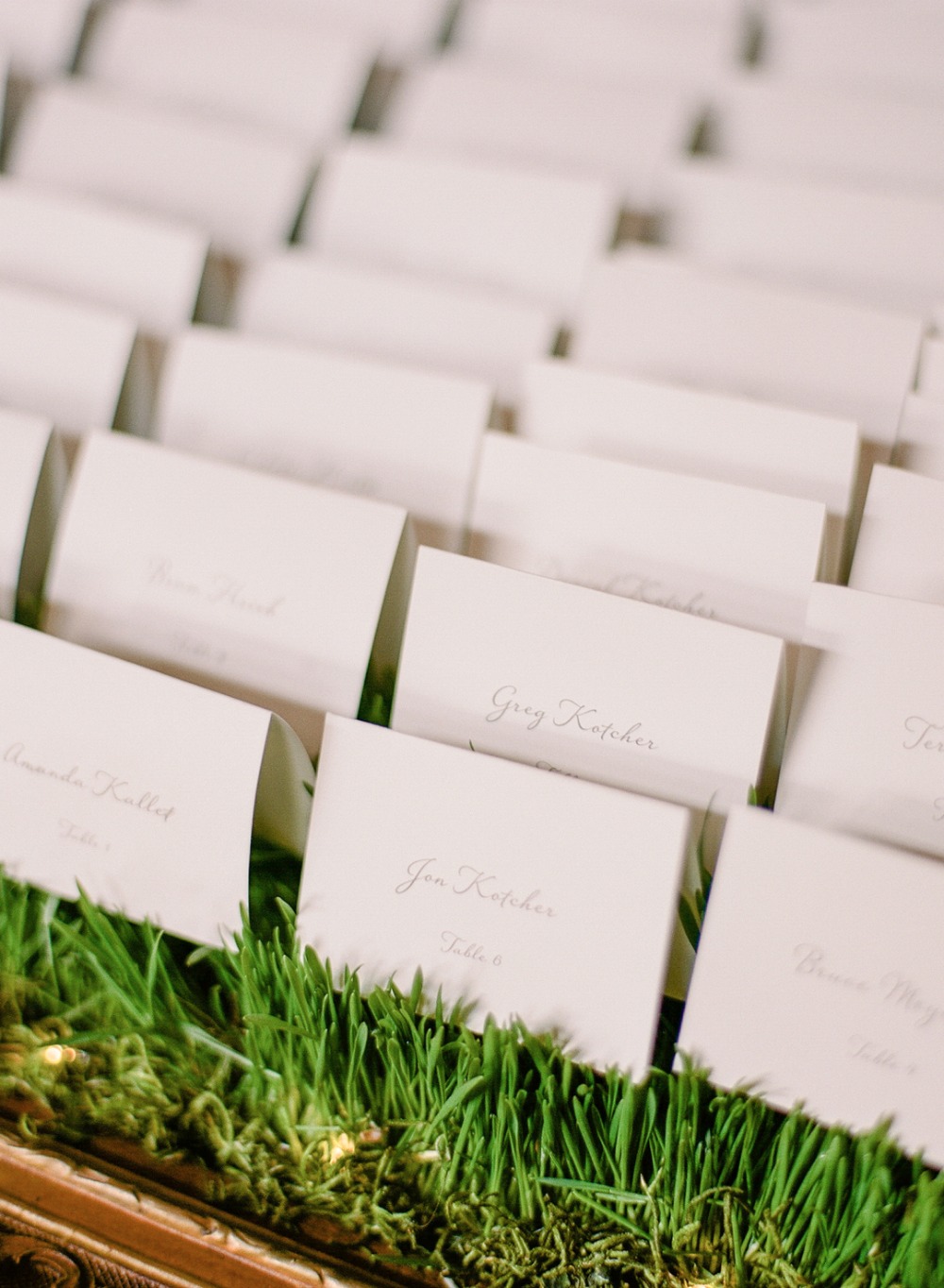 wedding-submission-from-rebecca-yale