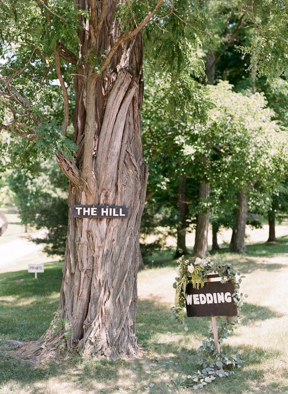 wedding-submission-from-rebecca-yale