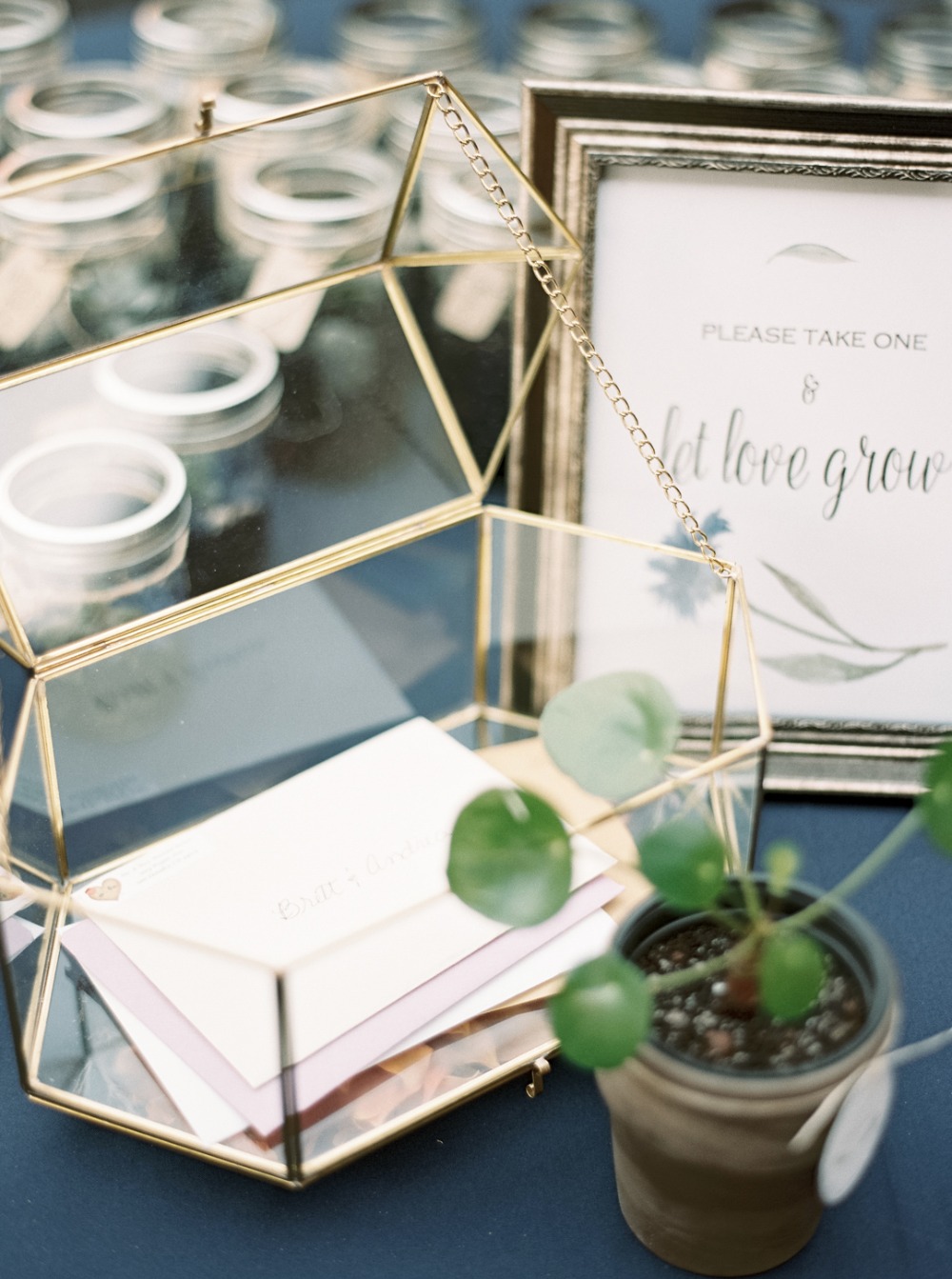 wedding-submission-from-taralynn