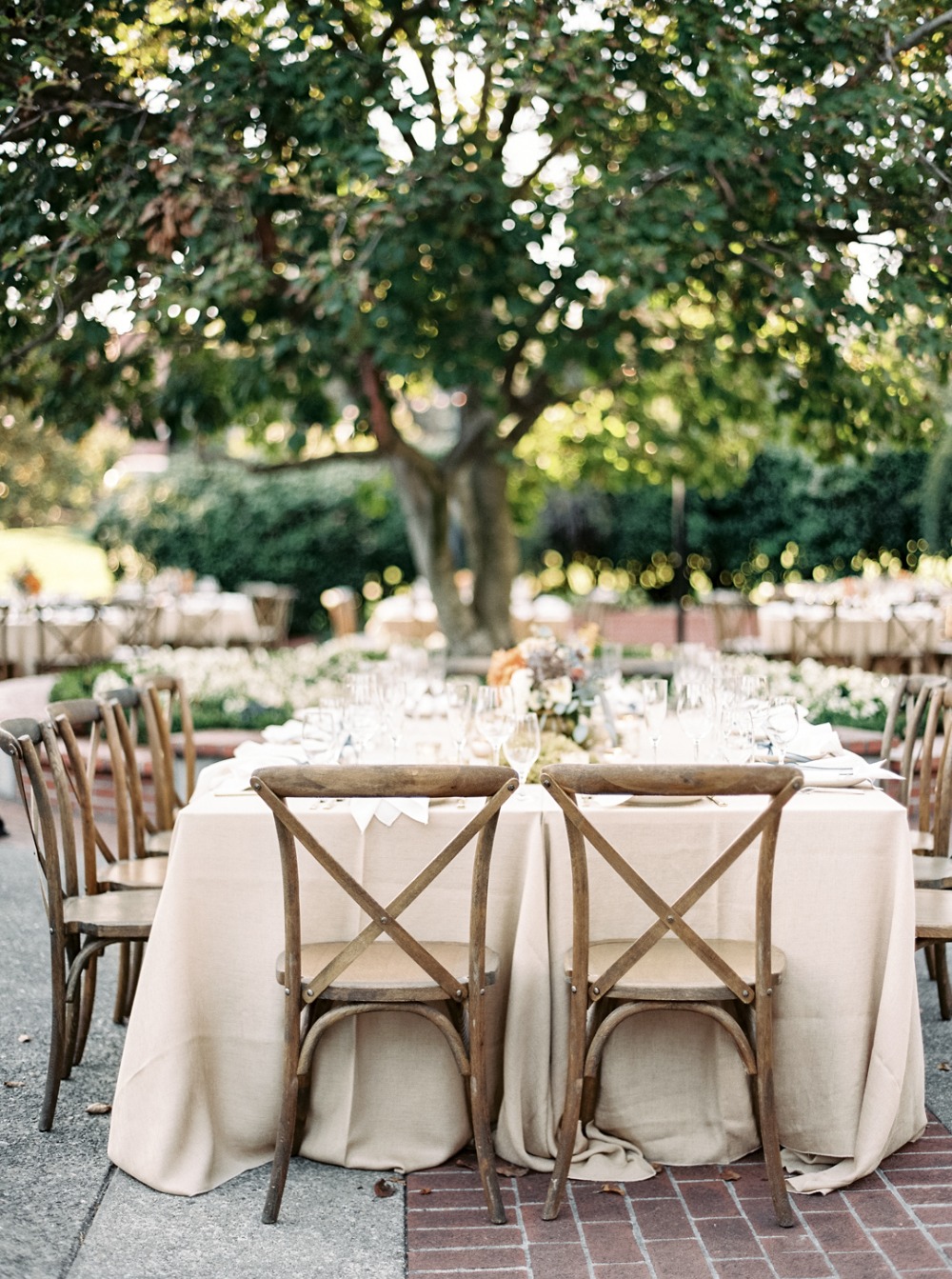 wedding-submission-from-taralynn