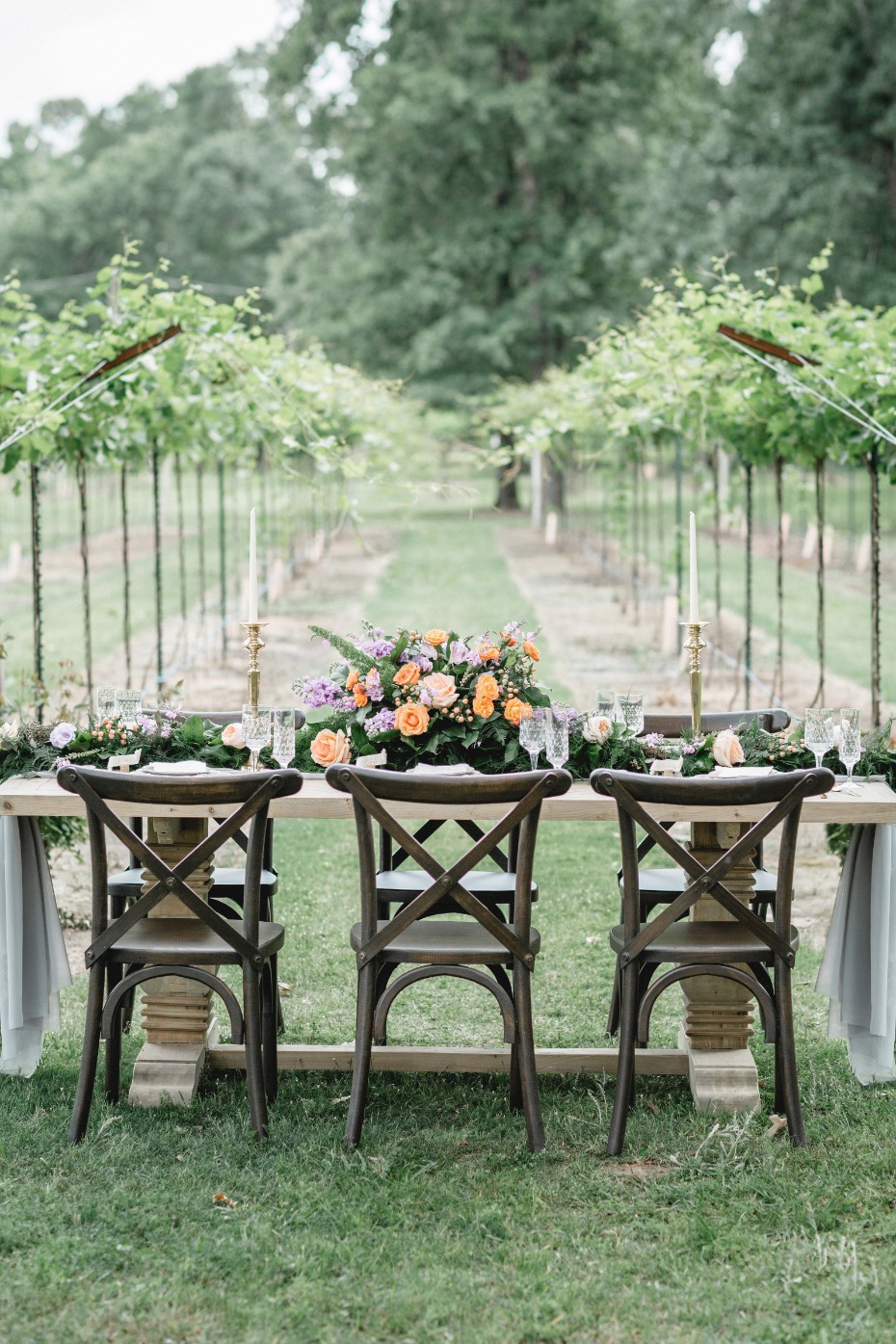 vineyard wedding reception 