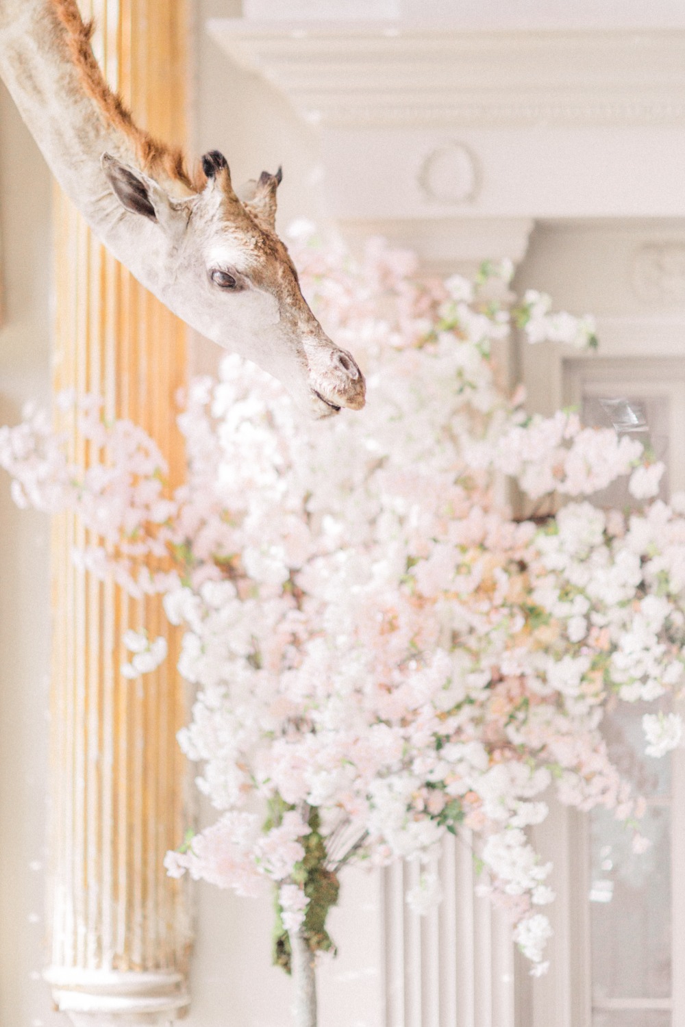 10-stunning-ways-to-use-flowers-at