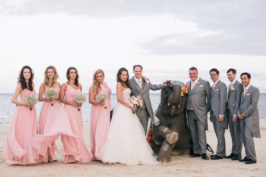 Beach wedding party posing with an elephant Thailand