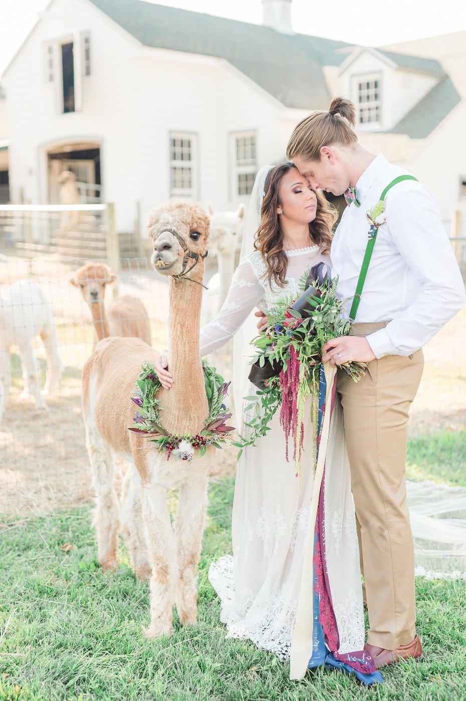 Alpaca farm wedding ideas we love!