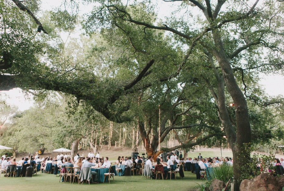elegant outdoor wedding reception