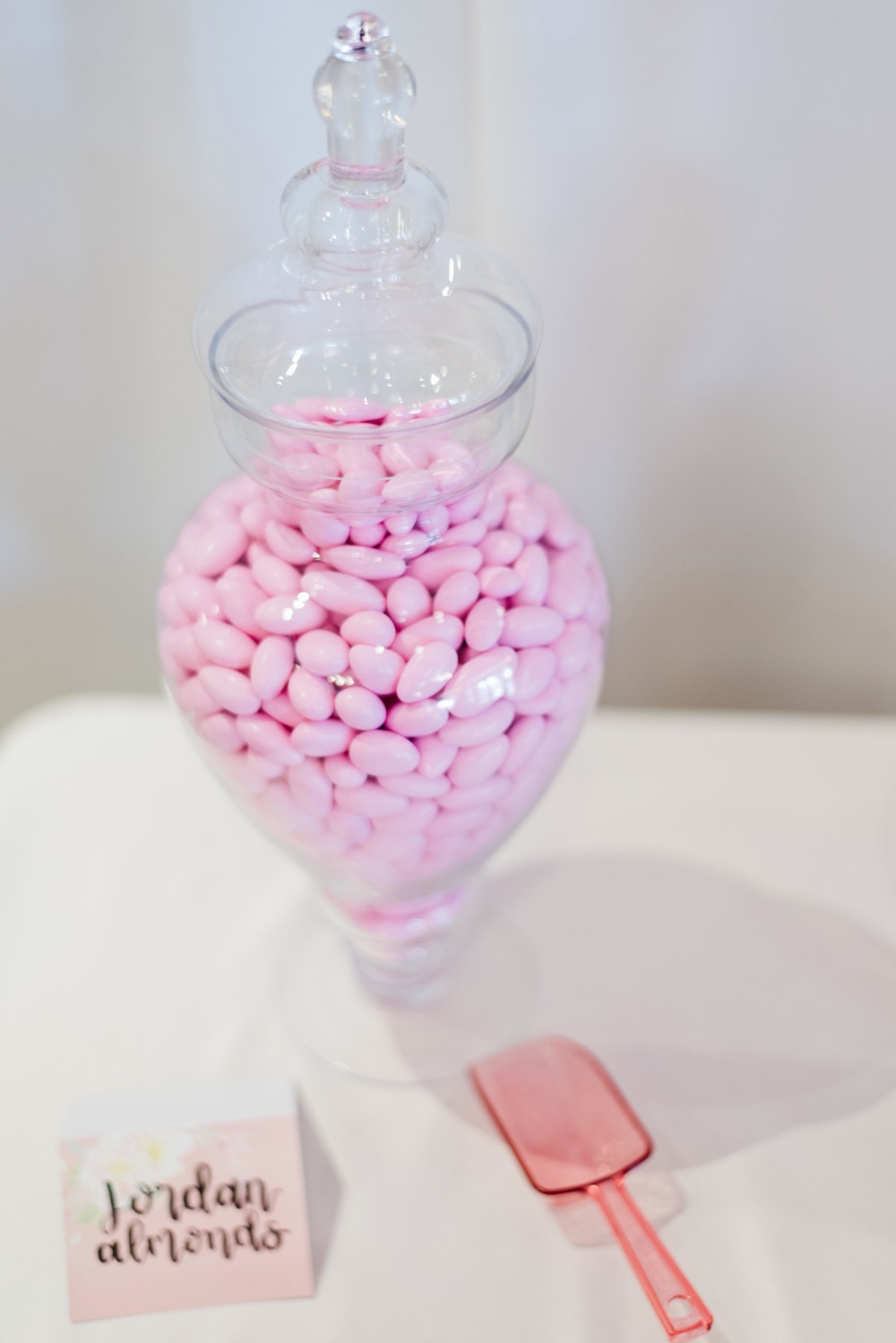 how-to-throw-a-posh-princess-bridal