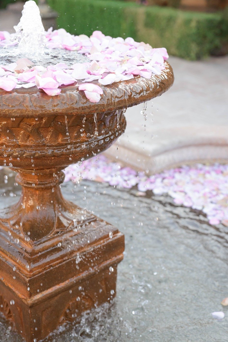 flower petal fountain