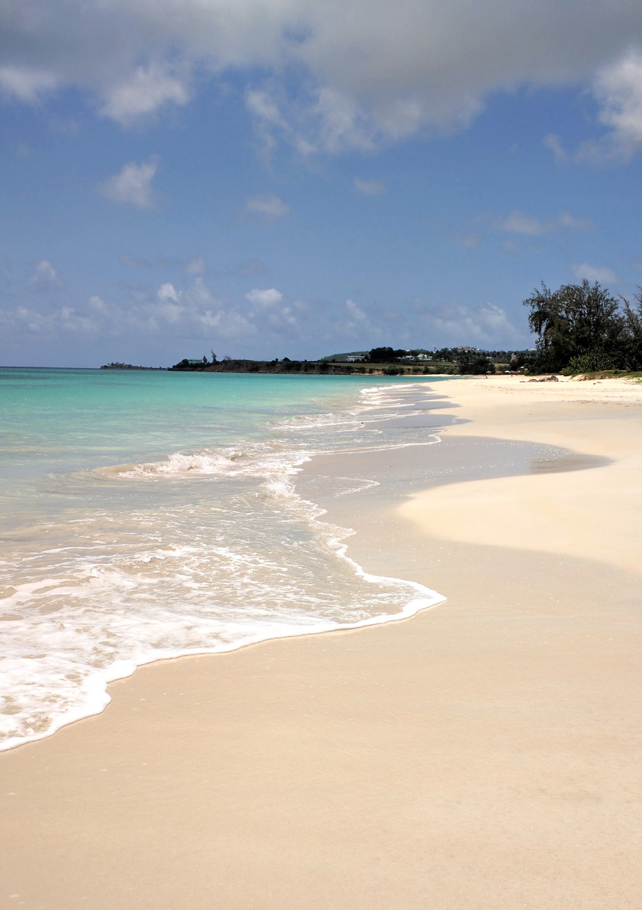 Gorgeous white sand beach in Antigua