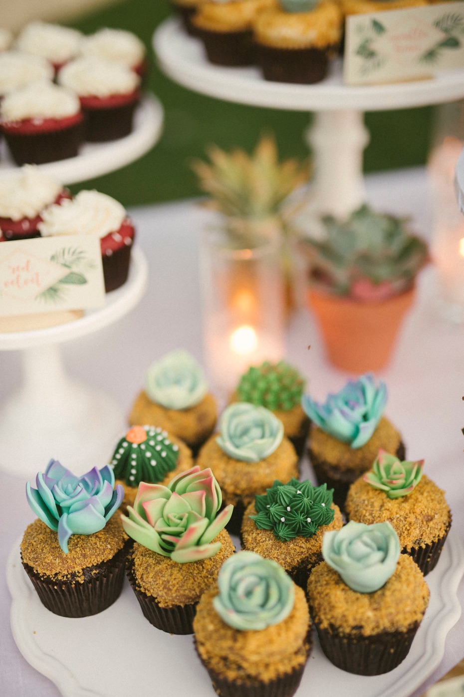 Succulent and cacti cupcakes <3
