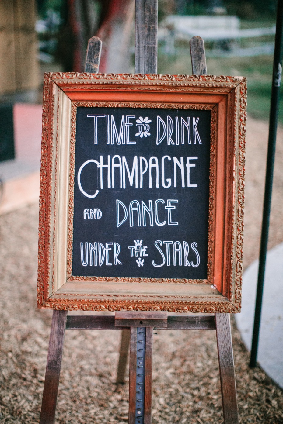 drink champagne wedding sign
