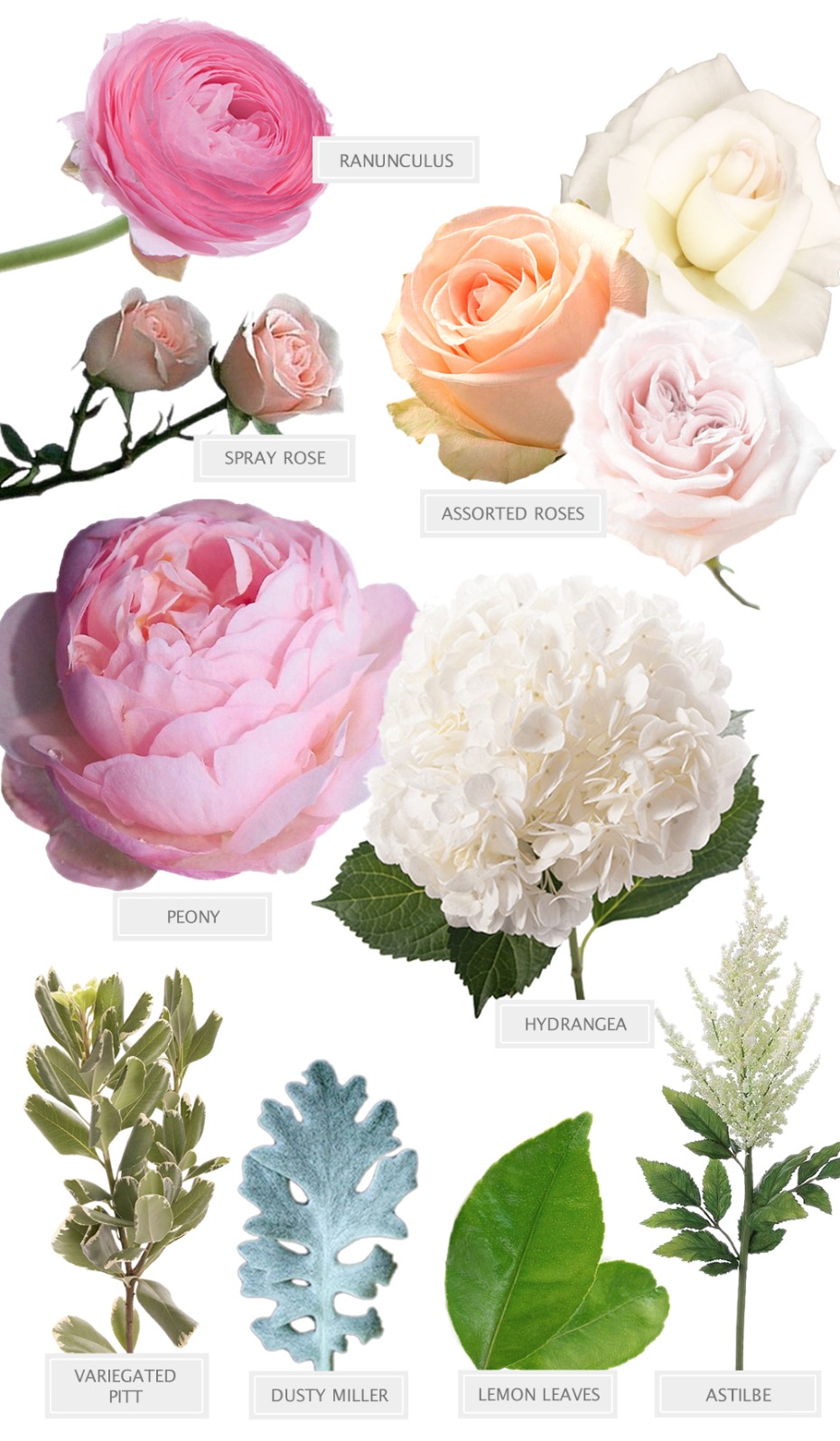 A Pink and White bouquet recipe