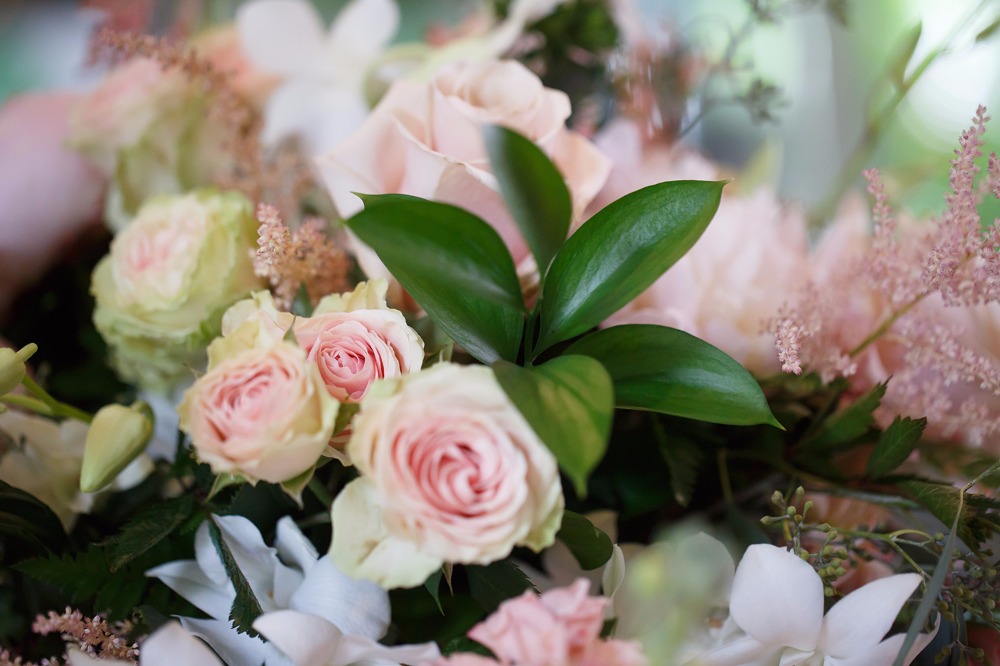 puppywedding59