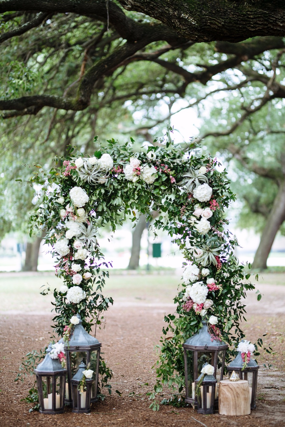 Floral arch with air plants