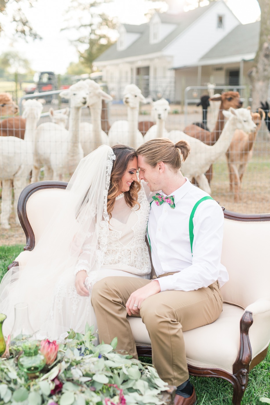 Get married on an Alpaca Farm