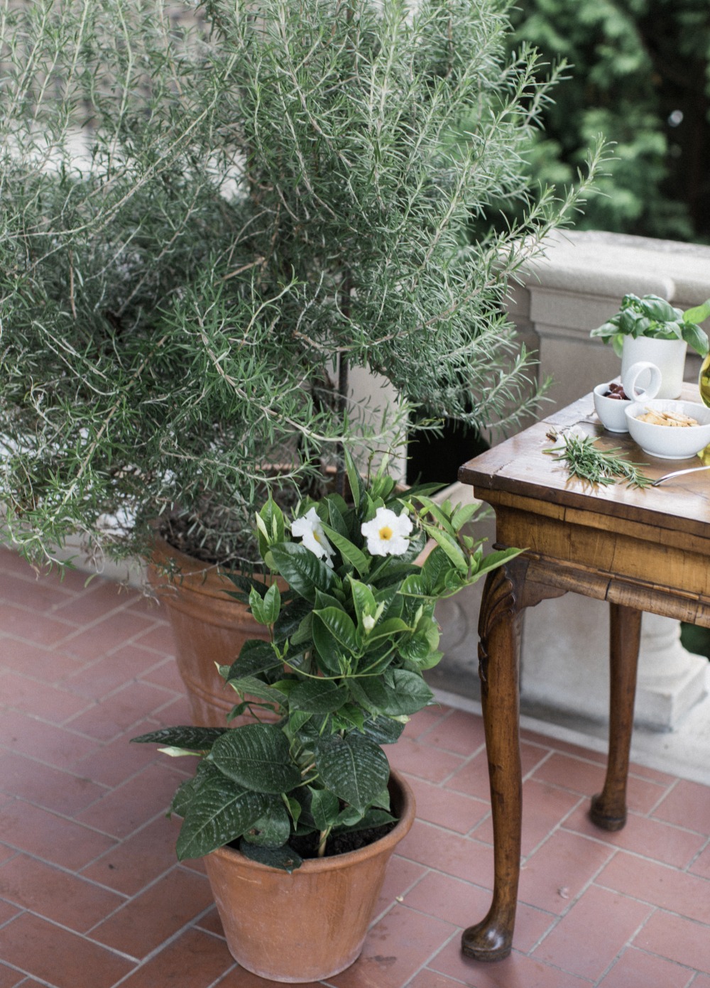 villa-terrace-is-an-italian-wedding