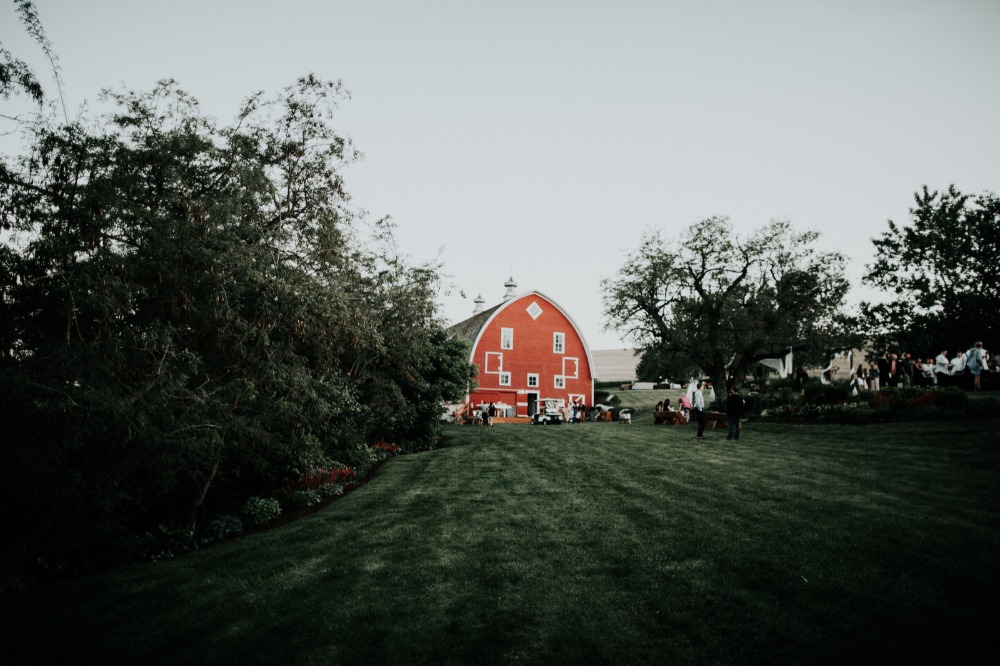 wedding-submission-from-alex-lasota