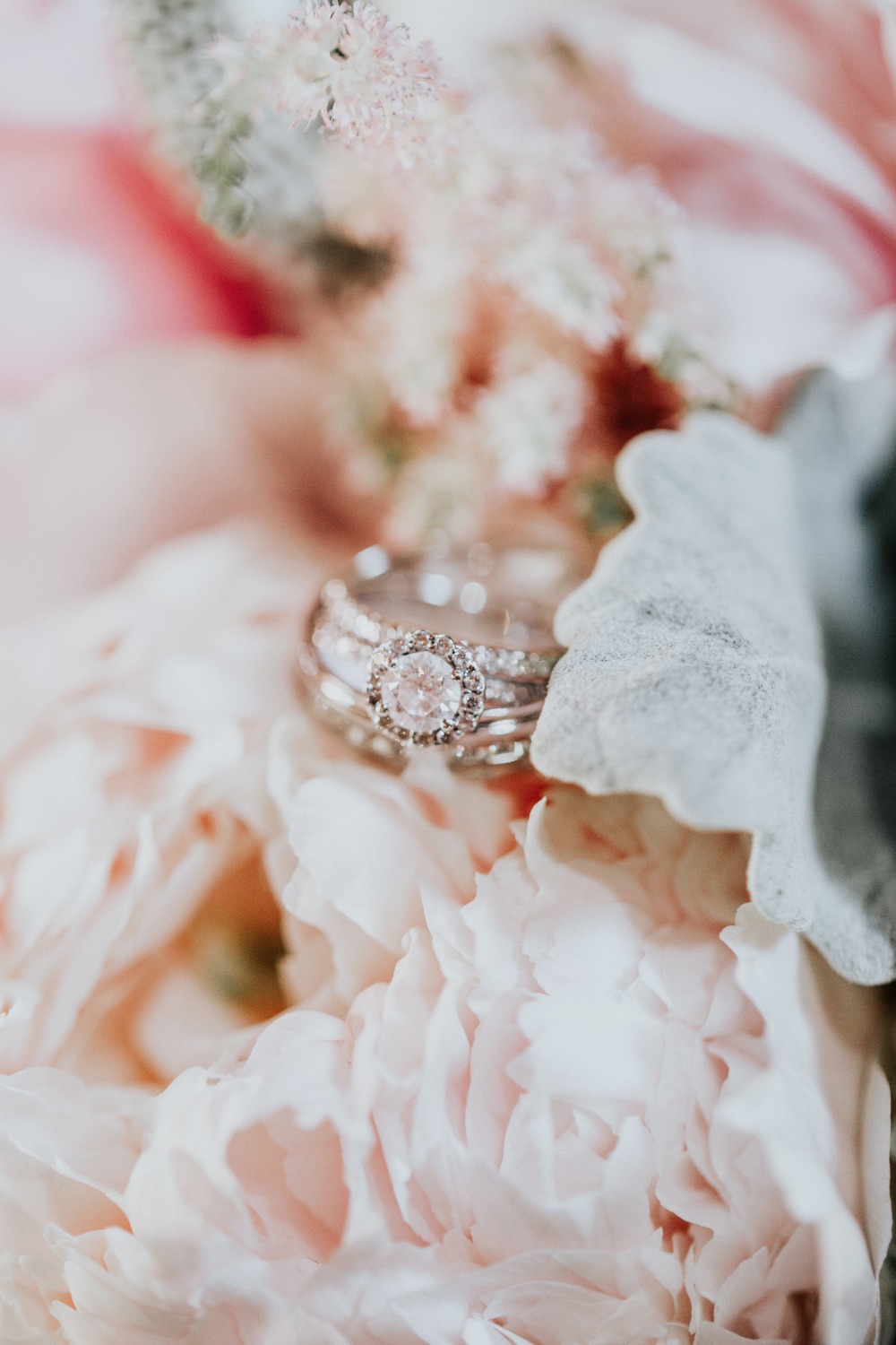 wedding-submission-from-alex-lasota