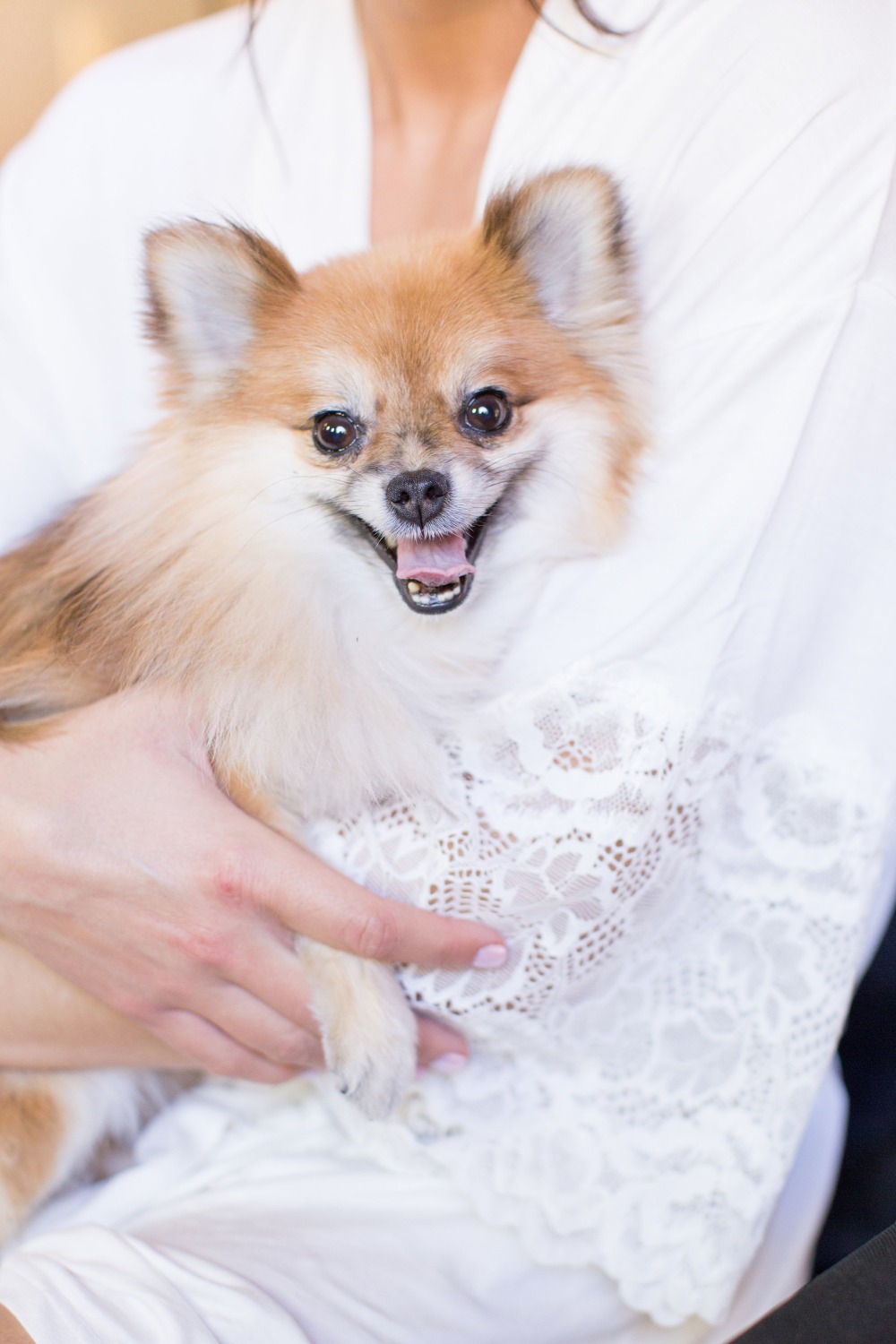 wedding-submission-from-amy-_and_-jordan