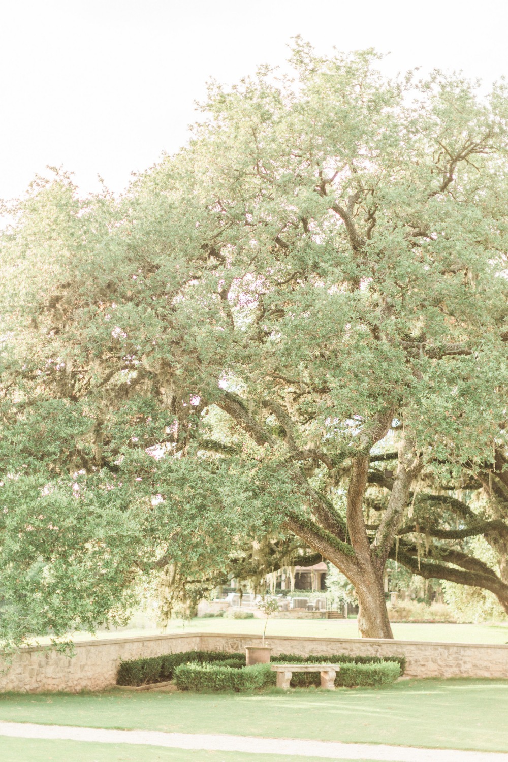 wedding-submission-from-fulleylove