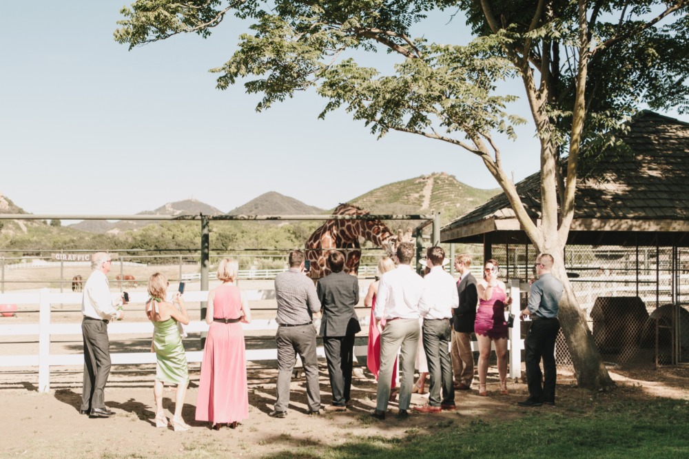wedding-submission-from-kelly-brown