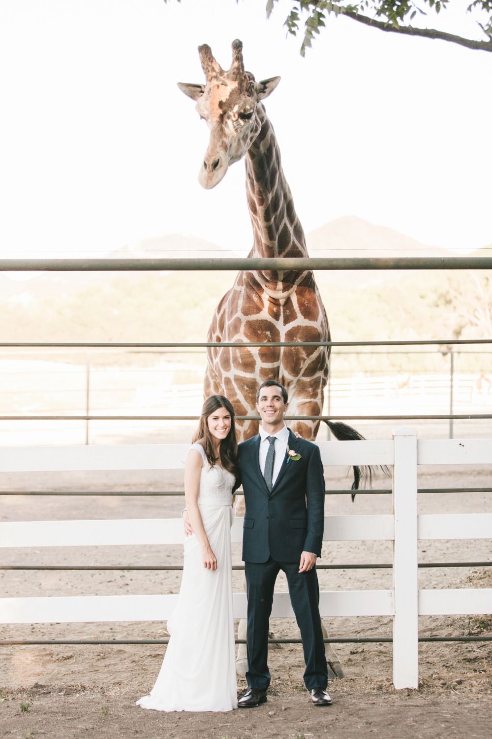 wedding-submission-from-kelly-brown
