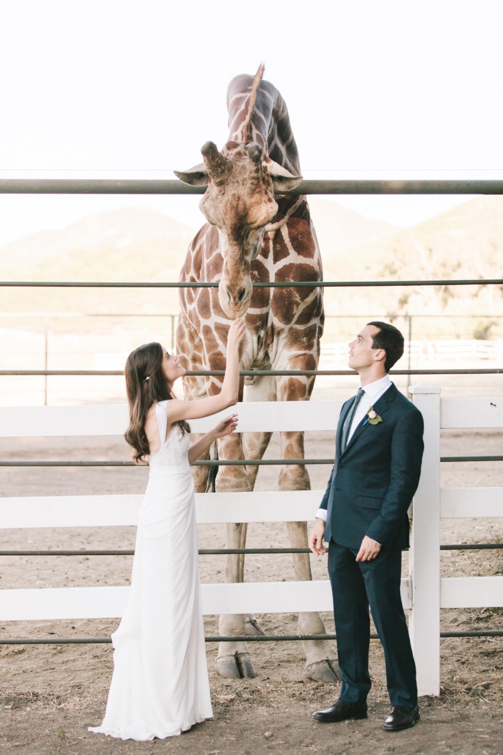 wedding-submission-from-kelly-brown