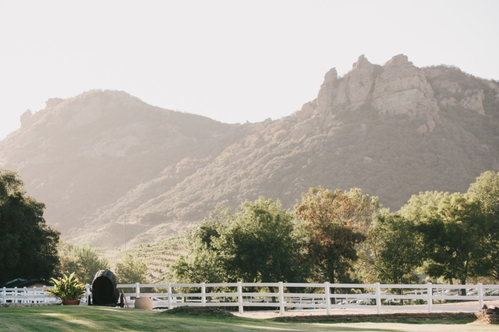 wedding-submission-from-kelly-brown