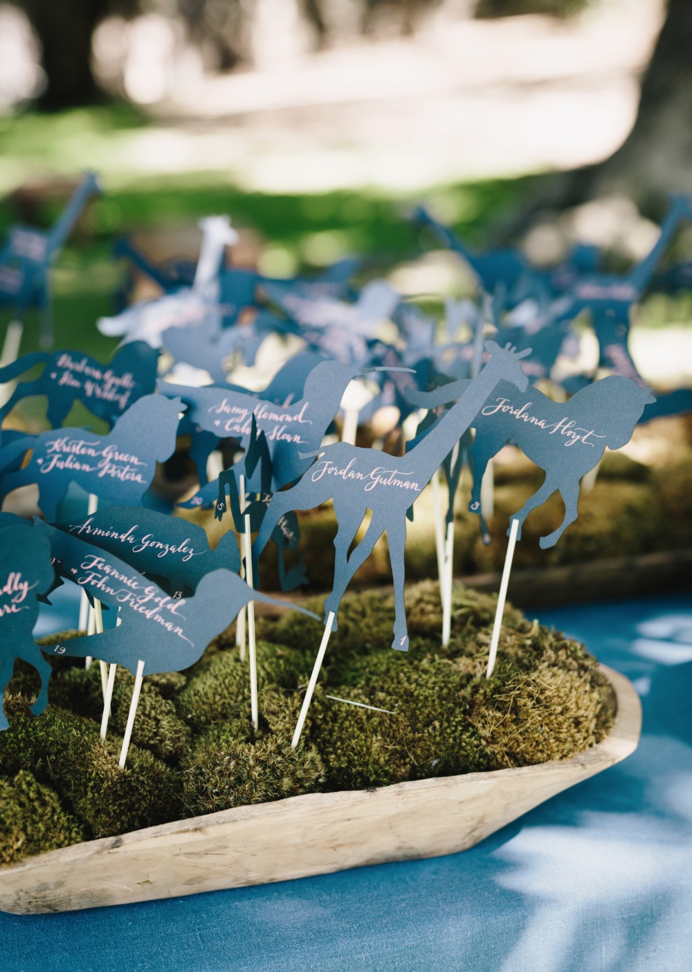 wedding-submission-from-kelly-brown
