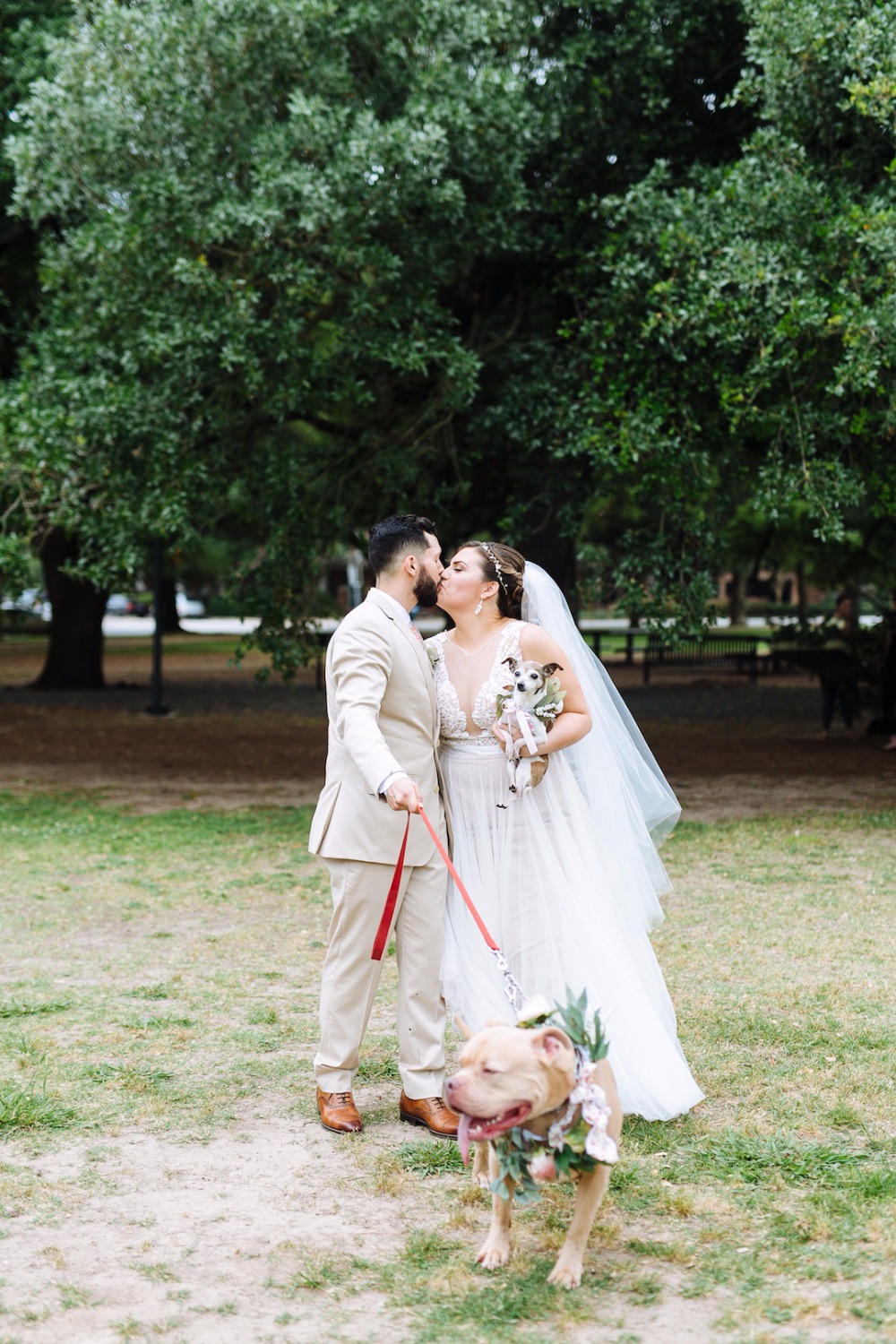 wedding-submission-from-smith-house
