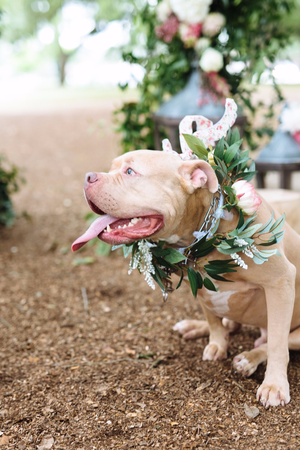 wedding-submission-from-smith-house