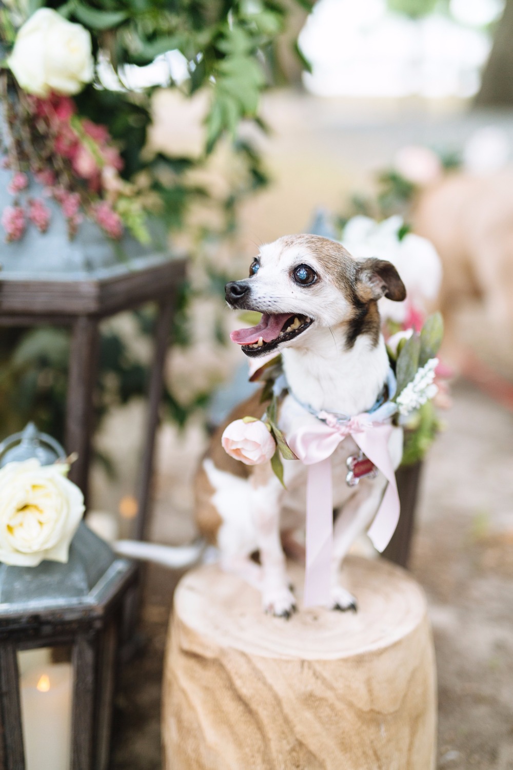wedding-submission-from-smith-house