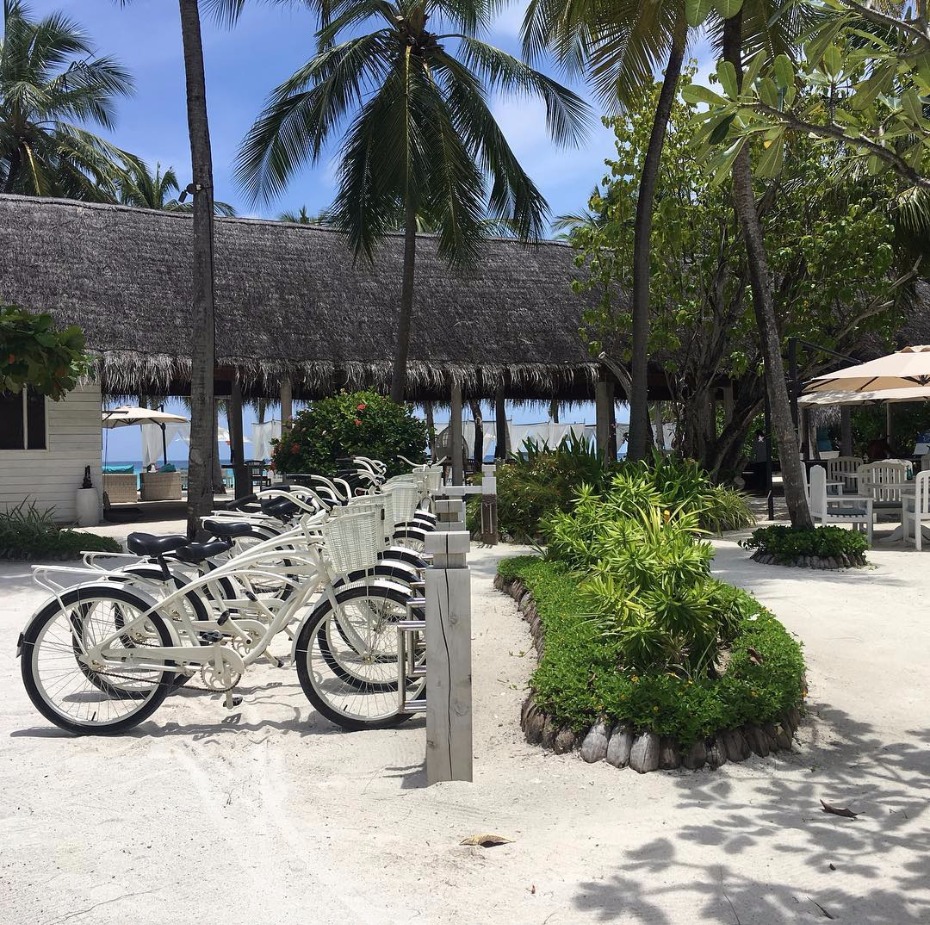 White beach cruisers at a tropical resort scene