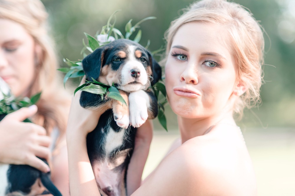 6-reasons-why-your-new-home-needs-a-pet