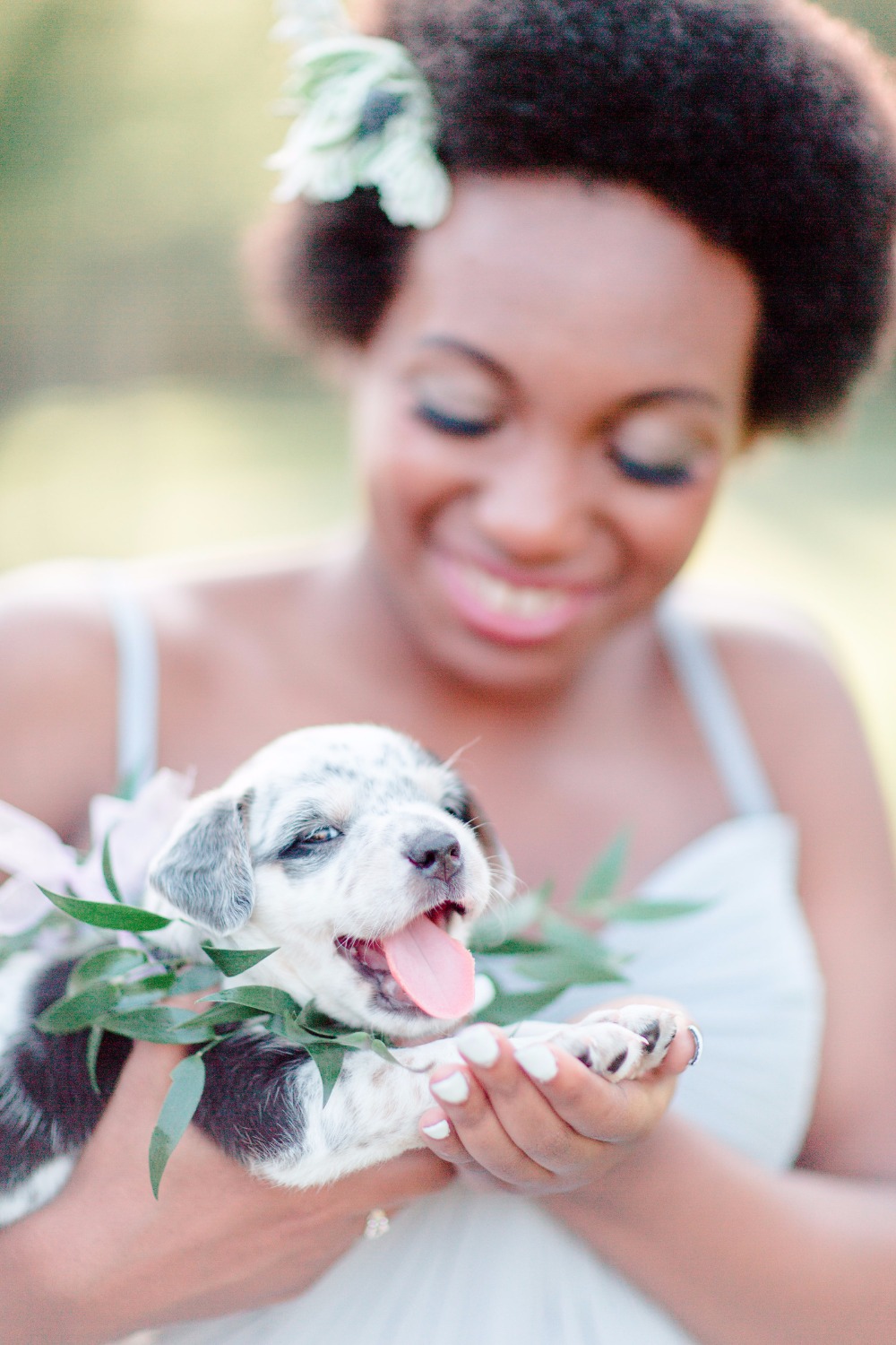 6-reasons-why-your-new-home-needs-a-pet