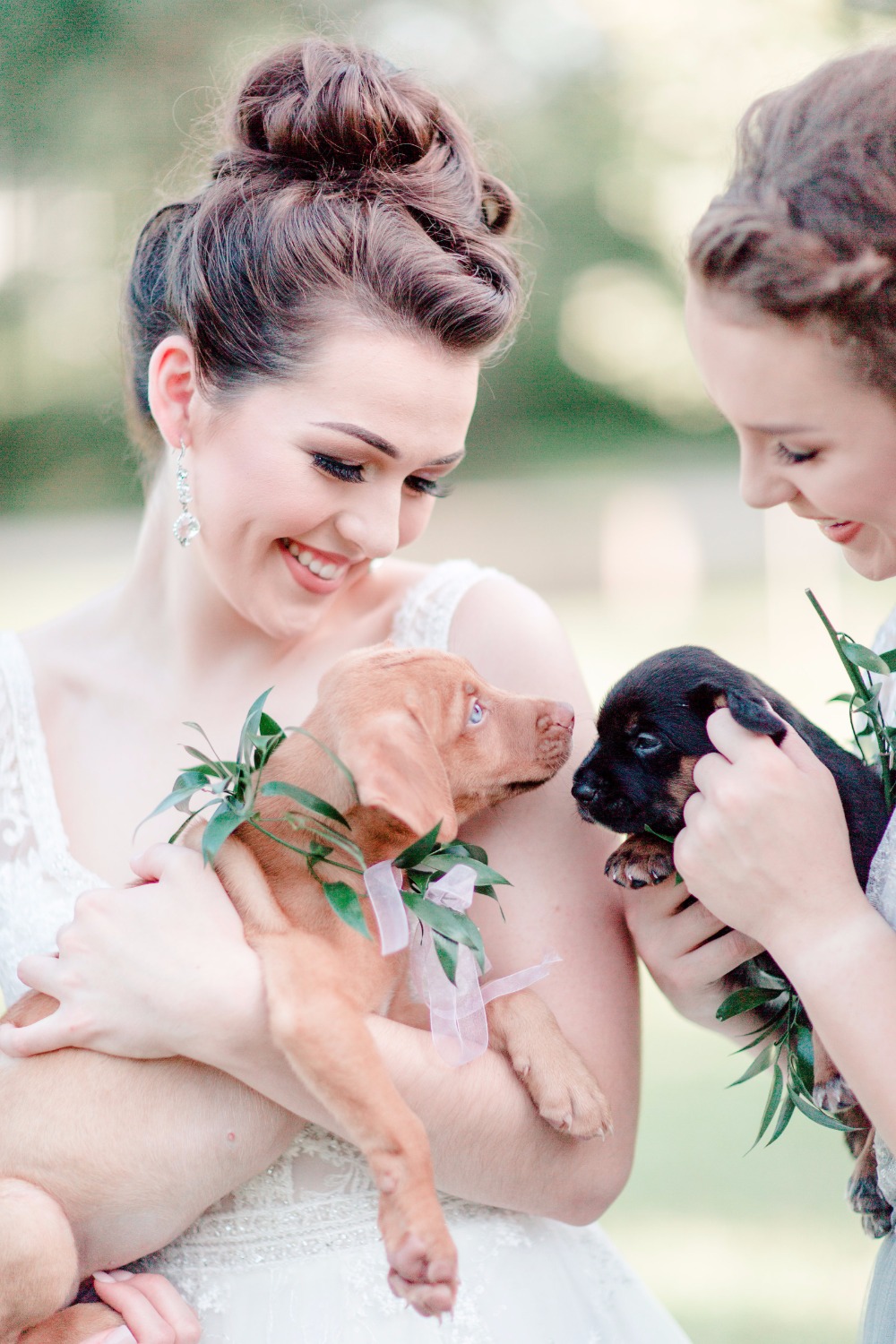 6-reasons-why-your-new-home-needs-a-pet