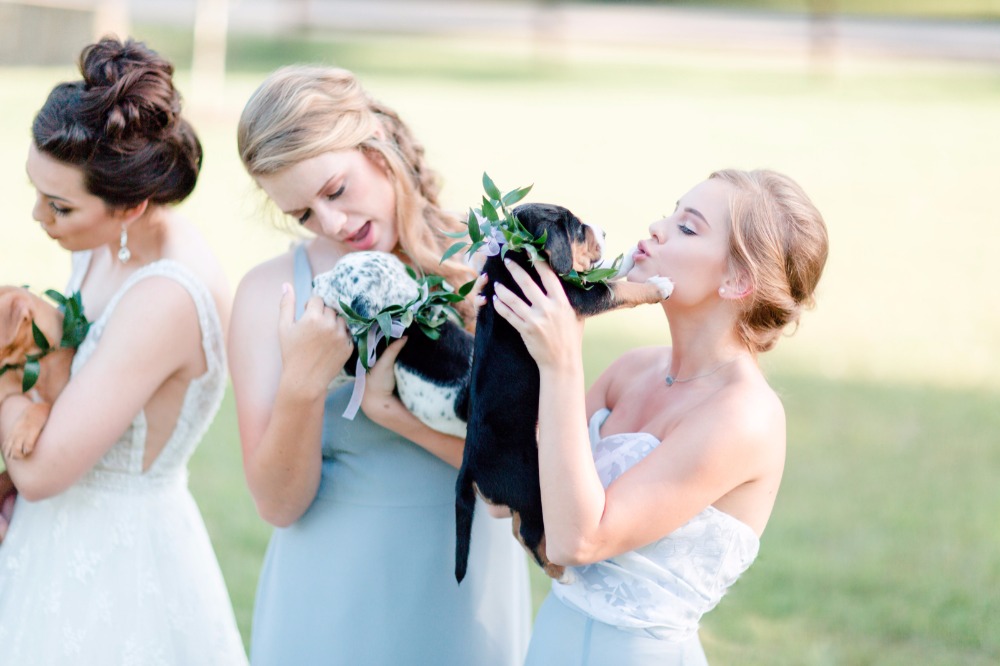 6-reasons-why-your-new-home-needs-a-pet