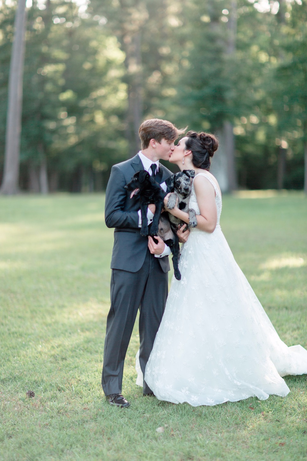 6-reasons-why-your-new-home-needs-a-pet