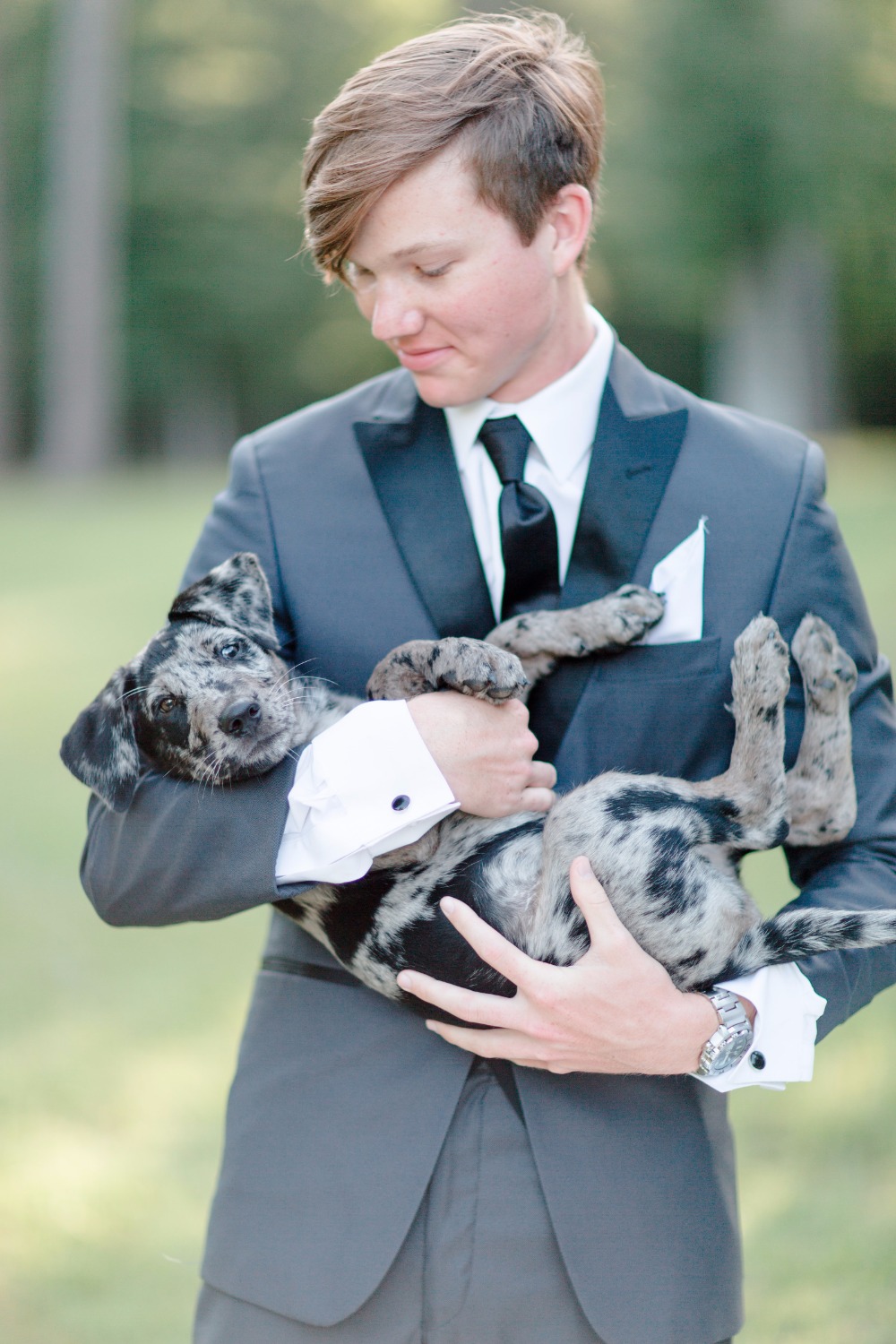 6-reasons-why-your-new-home-needs-a-pet