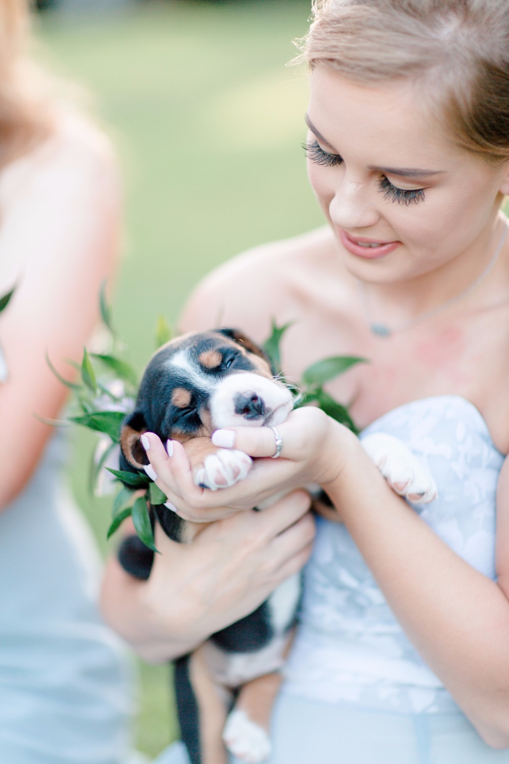 6-reasons-why-your-new-home-needs-a-pet