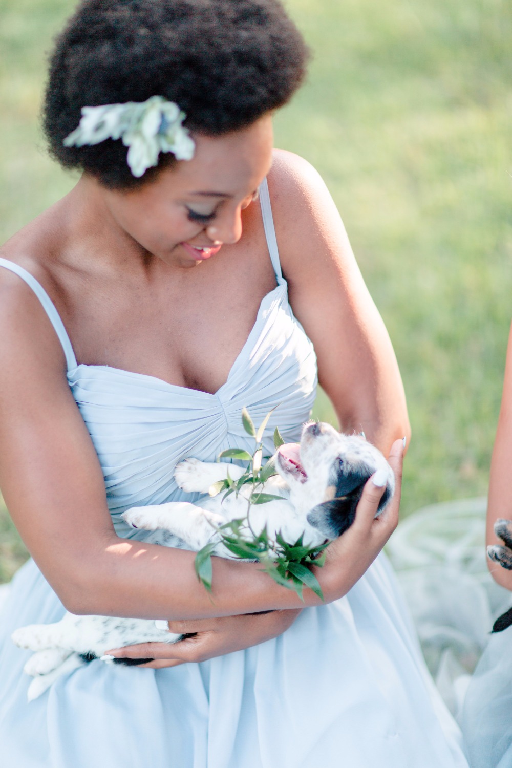 6-reasons-why-your-new-home-needs-a-pet