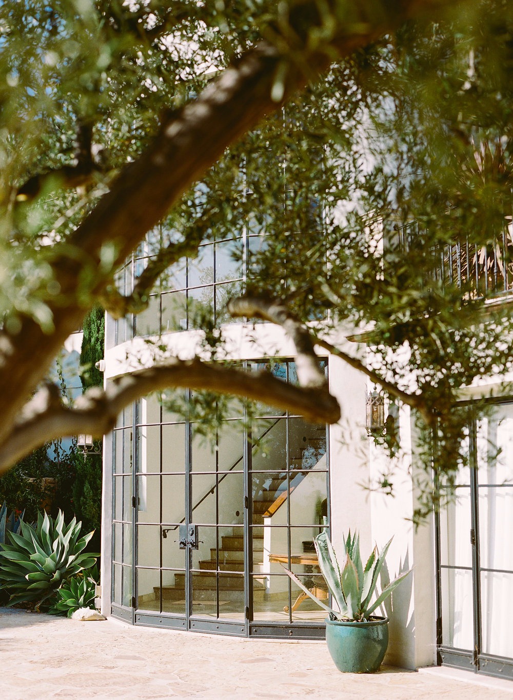 7-fabulous-ways-to-use-flowers-on-your