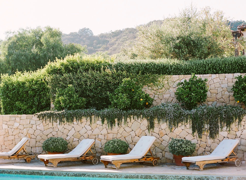 7-fabulous-ways-to-use-flowers-on-your