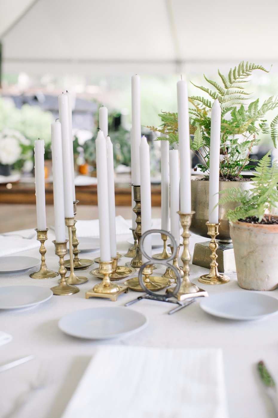 Candle sticks and potted plants centerpiece